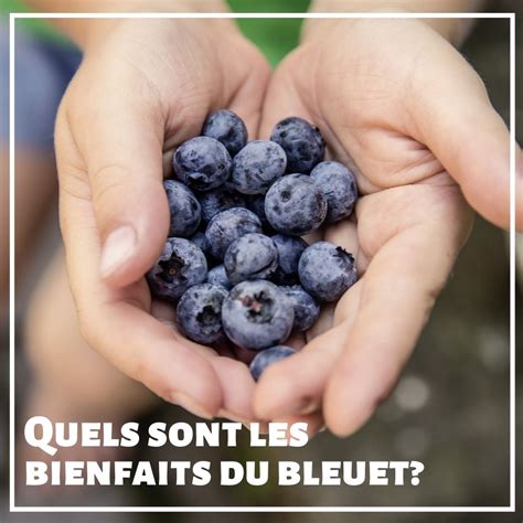 infographie sur les bienfaits du bleuet