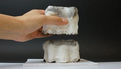 Exemple d'objet imprimé en 3D à partir de marc de café et de mycélium (statue Moai)