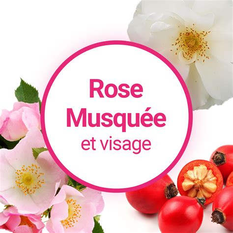 Plan de travail avec des graines de rose musquée et l'huile extraite