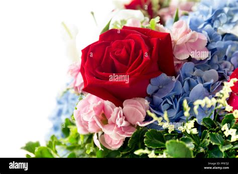 Bouquet d'hortensias bleus et roses