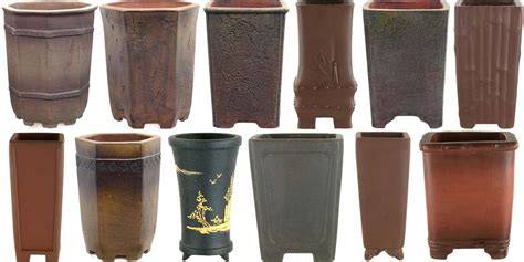 Exemples de pots à bonsaï