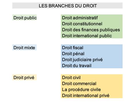 Différents types de branches utilisables pour le BRF