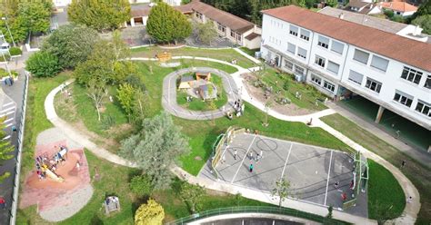 Schéma d'une cour d'école végétalisée avec différents types de plantes