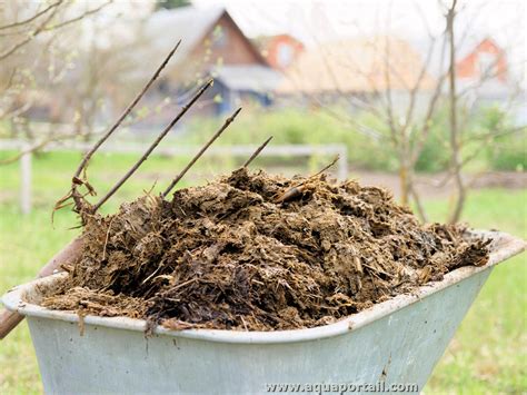 Compostière avec du fumier en décomposition