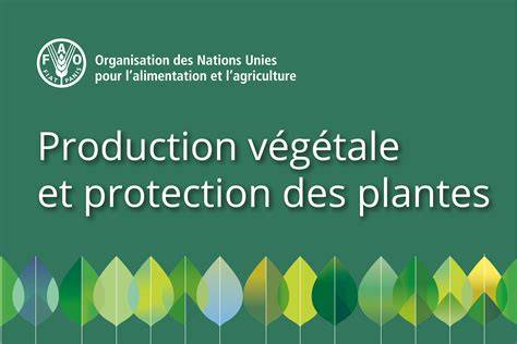 Exemples d'intrants pour la production végétale