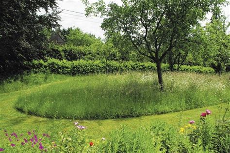 Un jardin avec des zones de tonte différenciée et des fleurs sauvages