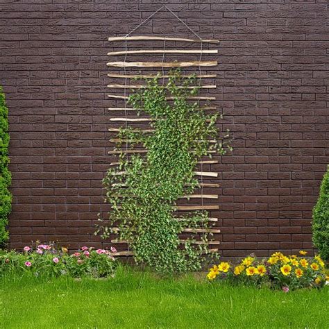 Jardin avec des treillis servant de séparateurs et de support pour plantes grimpantes