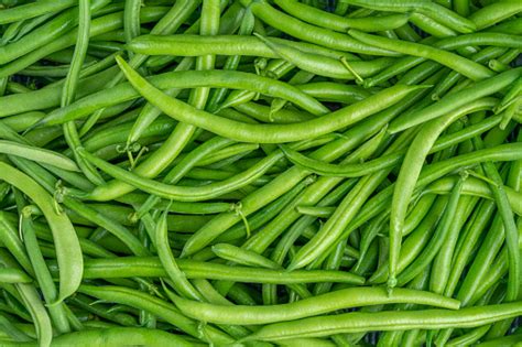 Gousses de haricots verts frais