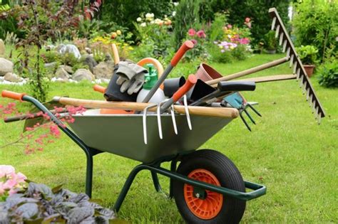 Paysage de jardin entretenu avec des outils de jardinage professionnels
