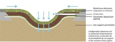 Schéma explicatif d'un swale avec infiltration et développement racinaire