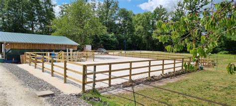 Illustration d'un paddock avec îlot d'arbres pour l'ombre et la protection