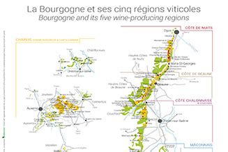 Carte de la Bourgogne viticole avec Auxey-Duresses en surbrillance