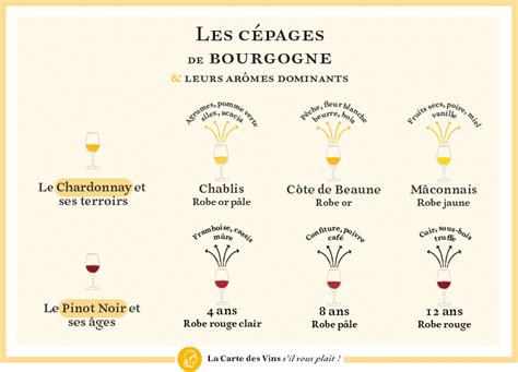 Infographie sur les différents cépages utilisés en Bourgogne