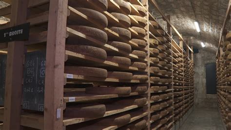 Photo de meules de comté dans une cave d'affinage