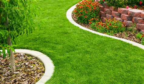Image d'un jardin avec des bordures bien entretenues