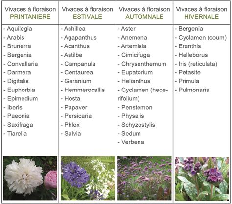 Tableau comparatif : Vivaces couvre-sol pour différentes expositions et types de sol