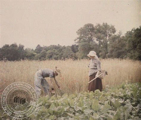 photographie ancienne de maraîchers travaillant dans un champ