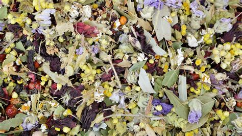 Variété de plantes séchées en vrac