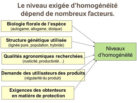 Schéma expliquant les tests DHS (Distinction, Homogénéité, Stabilité) pour l'inscription d'une variété.