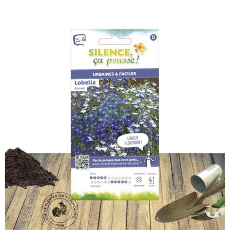 Sachet de graines de Lobelia