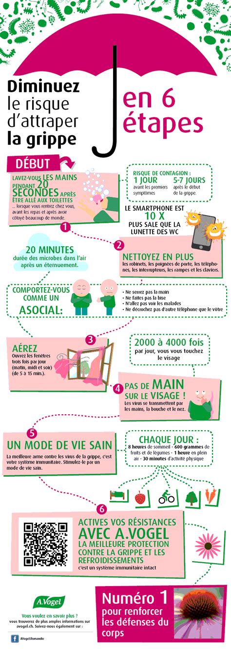 infographie sur la prévention de la moisissure
