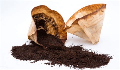 Schéma montrant l'utilisation du marc de café comme barrière contre les limaces