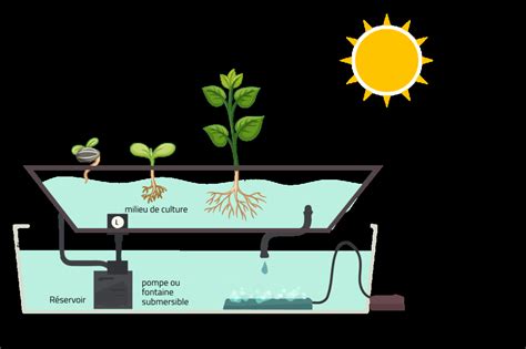 Schéma de montage d'un système hydroponique à mèche