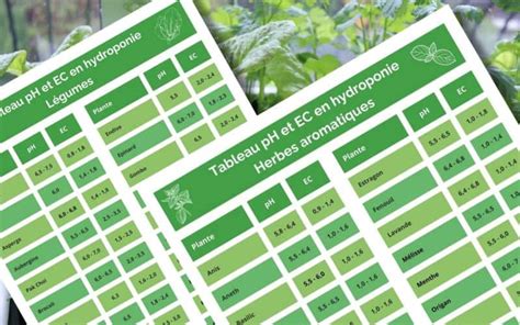 Graphique illustrant les plages de pH et d'EC optimales pour la culture hydroponique