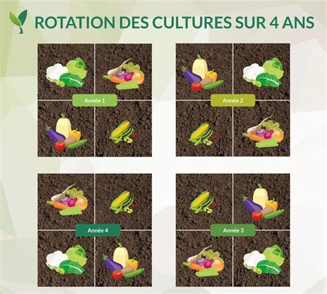 Diagramme représentant une rotation de culture sur 4 ans