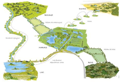 Schéma illustrant les connexions entre les différents réseaux de permaculture, de l'échelon local à l'échelle mondiale.