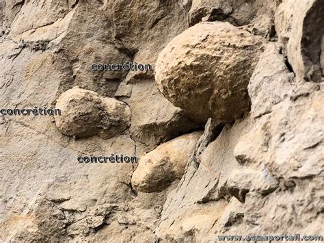 Formation de concrétions en calcite blanche dans une grotte
