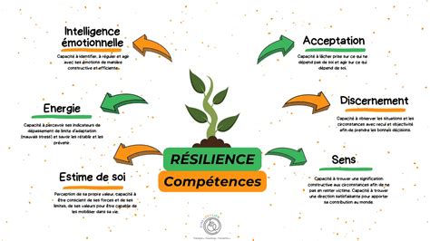 Schéma illustrant l'interaction entre ressources internes et tuteur de résilience