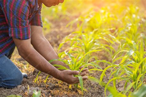 Jeune étudiant travaillant dans un champ agricole
