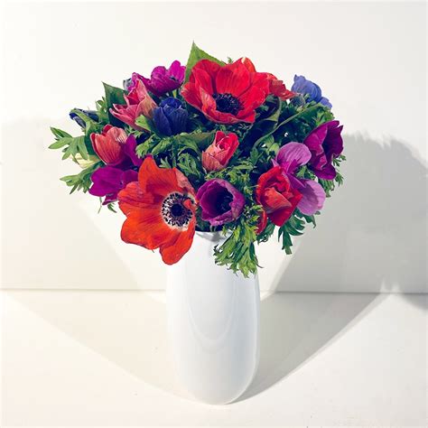 Photo d'un bouquet d'anémones du Japon dans un soliflore