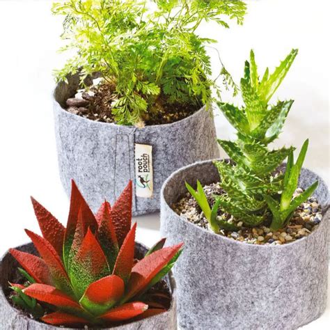 Pots géotextiles colorés sur un balcon urbain