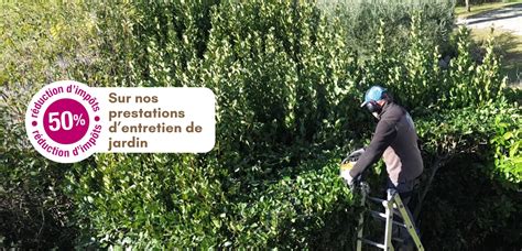 Infographie des services d'entretien de jardin