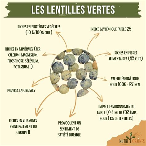 Infographie des valeurs nutritionnelles de la prune fraîche et du pruneau