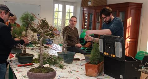 Participants à un atelier bonsaï travaillant sur leurs arbres