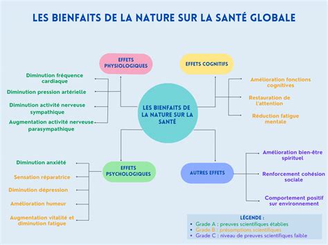 Infographie sur les bienfaits du Bochevo sur le sol
