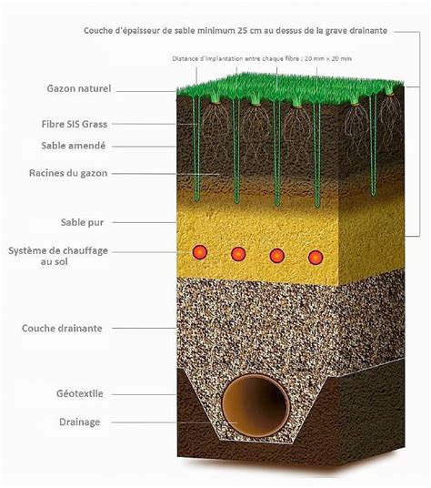 Infographie expliquant le fonctionnement d'une pelouse hybride