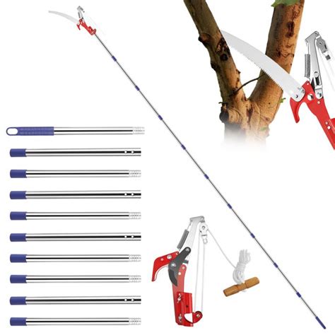 Outils de jardinage : sécateur, scie d'élagage, désinfectant