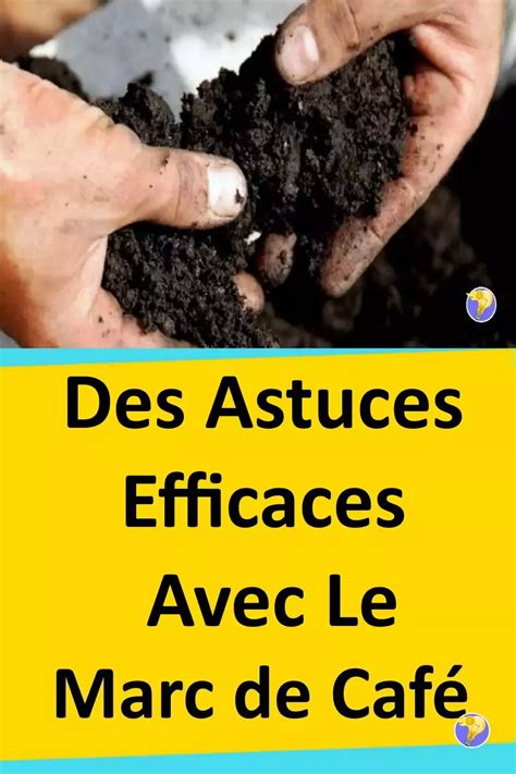 Diverses utilisations du marc de café dans la maison et le jardin