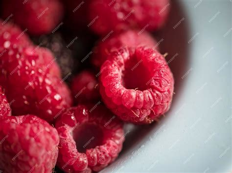 Gros plan sur des framboises fraîches