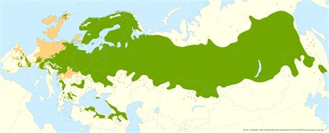 Carte de répartition du pin sylvestre en Europe et en Asie