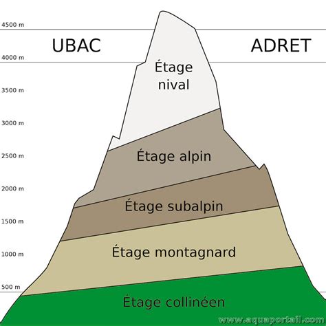 Schéma altimétrique détaillant les différentes variantes du Col de Leschaux
