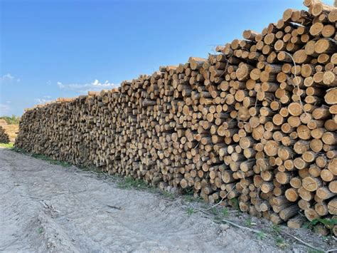 Pile de bois de chauffage bien rangée