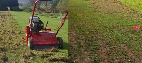 Photo d'une pelouse rénovée après une saison de scarification manuelle régulière