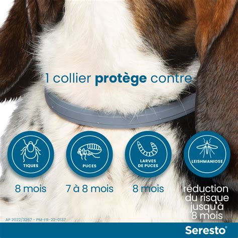 Collier Seresto sur un chien