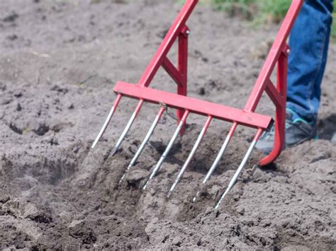 Illustration montrant l'utilisation d'une grelinette pour décompacter le sol sans retournement