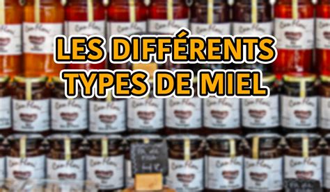 Différents types de maturateurs à miel